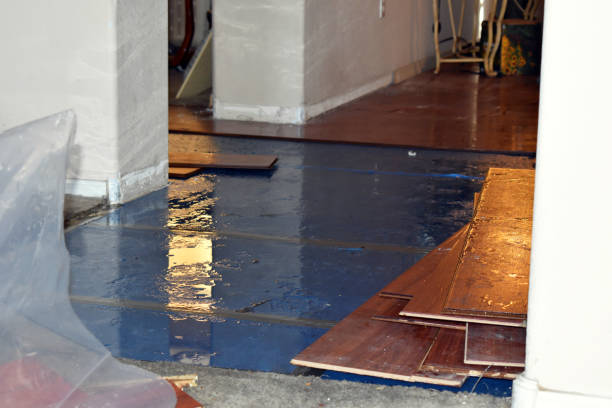 Professional Basement Flood Cleanup technician working in Reliance, SD